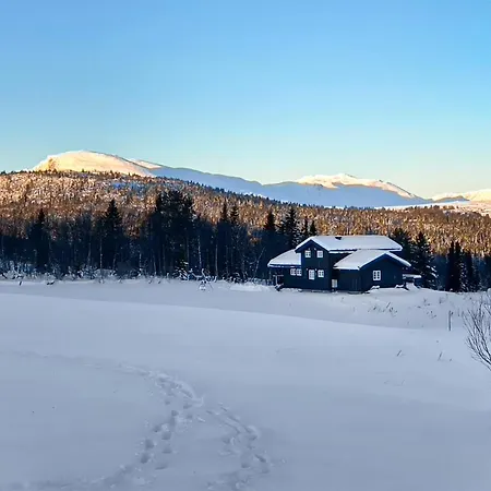 5 Bedroom Beautiful In Gol Prázdninový dům Golsfjellet
